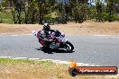 Champions Ride Day Broadford 2 of 2 parts 03 11 2014 - SH7_9727