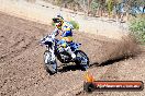 Champions Ride Day MotorX Broadford 23 11 2014 - SH8_0290