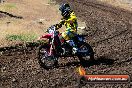 Champions Ride Day MotorX Broadford 23 11 2014 - SH8_0325