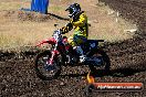 Champions Ride Day MotorX Broadford 23 11 2014 - SH8_0326