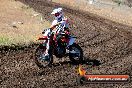 Champions Ride Day MotorX Broadford 23 11 2014 - SH8_0348