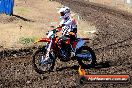 Champions Ride Day MotorX Broadford 23 11 2014 - SH8_0349