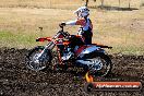 Champions Ride Day MotorX Broadford 23 11 2014 - SH8_0352