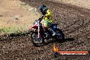 Champions Ride Day MotorX Broadford 23 11 2014 - SH8_0367
