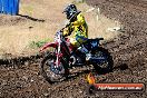 Champions Ride Day MotorX Broadford 23 11 2014 - SH8_0368