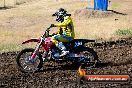 Champions Ride Day MotorX Broadford 23 11 2014 - SH8_0370