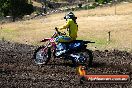 Champions Ride Day MotorX Broadford 23 11 2014 - SH8_0373