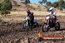Champions Ride Day MotorX Broadford 23 11 2014 - SH8_0390
