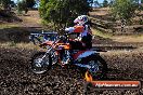 Champions Ride Day MotorX Broadford 23 11 2014 - SH8_0397