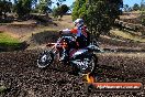Champions Ride Day MotorX Broadford 23 11 2014 - SH8_0398