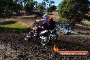 Champions Ride Day MotorX Broadford 23 11 2014 - SH8_0399