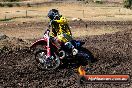 Champions Ride Day MotorX Broadford 23 11 2014 - SH8_0402