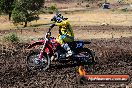 Champions Ride Day MotorX Broadford 23 11 2014 - SH8_0403