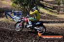 Champions Ride Day MotorX Broadford 23 11 2014 - SH8_0406