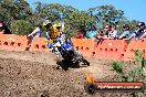 Champions Ride Day MotorX Broadford 23 11 2014 - SH8_0418
