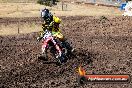 Champions Ride Day MotorX Broadford 23 11 2014 - SH8_0430