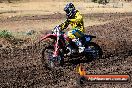 Champions Ride Day MotorX Broadford 23 11 2014 - SH8_0432