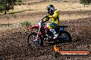Champions Ride Day MotorX Broadford 23 11 2014 - SH8_0433