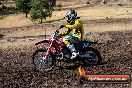 Champions Ride Day MotorX Broadford 23 11 2014 - SH8_0434