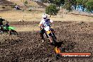 Champions Ride Day MotorX Broadford 23 11 2014 - SH8_0439