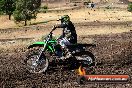 Champions Ride Day MotorX Broadford 23 11 2014 - SH8_0449