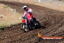 Champions Ride Day MotorX Broadford 23 11 2014 - SH8_0480
