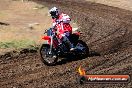 Champions Ride Day MotorX Broadford 23 11 2014 - SH8_0481