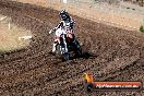 Champions Ride Day MotorX Broadford 23 11 2014 - SH8_0489