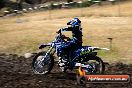 Champions Ride Day MotorX Broadford 23 11 2014 - SH8_0502