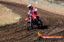 Champions Ride Day MotorX Broadford 23 11 2014 - SH8_0513