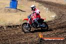 Champions Ride Day MotorX Broadford 23 11 2014 - SH8_0514