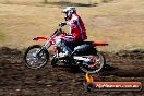 Champions Ride Day MotorX Broadford 23 11 2014 - SH8_0517