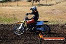 Champions Ride Day MotorX Broadford 23 11 2014 - SH8_0524
