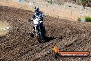 Champions Ride Day MotorX Broadford 23 11 2014 - SH8_0526
