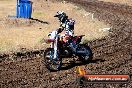 Champions Ride Day MotorX Broadford 23 11 2014 - SH8_0539