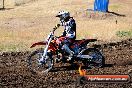 Champions Ride Day MotorX Broadford 23 11 2014 - SH8_0541
