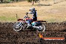 Champions Ride Day MotorX Broadford 23 11 2014 - SH8_0543