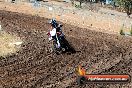 Champions Ride Day MotorX Broadford 23 11 2014 - SH8_0554
