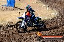 Champions Ride Day MotorX Broadford 23 11 2014 - SH8_0557