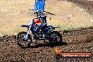 Champions Ride Day MotorX Broadford 23 11 2014 - SH8_0558