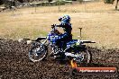 Champions Ride Day MotorX Broadford 23 11 2014 - SH8_0562