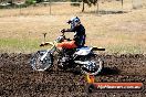 Champions Ride Day MotorX Broadford 23 11 2014 - SH8_0576