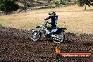 Champions Ride Day MotorX Broadford 23 11 2014 - SH8_0586