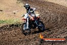 Champions Ride Day MotorX Broadford 23 11 2014 - SH8_0601