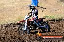 Champions Ride Day MotorX Broadford 23 11 2014 - SH8_0603