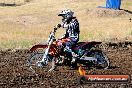 Champions Ride Day MotorX Broadford 23 11 2014 - SH8_0604