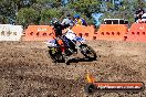 Champions Ride Day MotorX Broadford 23 11 2014 - SH8_0607