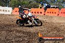 Champions Ride Day MotorX Broadford 23 11 2014 - SH8_0618