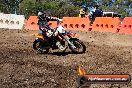 Champions Ride Day MotorX Broadford 23 11 2014 - SH8_0618