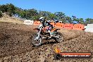Champions Ride Day MotorX Broadford 23 11 2014 - SH8_0624